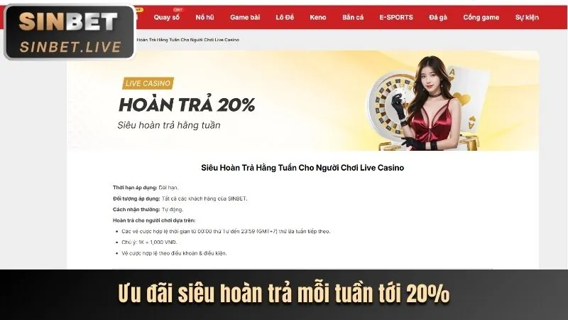 Các chương trình khuyến mãi và ưu đãi độc quyền tại 28ta28
